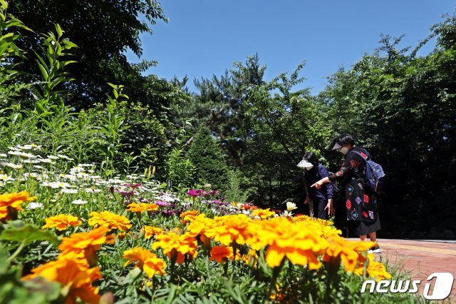 전국이 대체로 맑은 날씨를 보인 4일 오후 서울 남산공원에서 시민들이 산책을 즐기고 있다. 2021.6.4/뉴스1 © News1