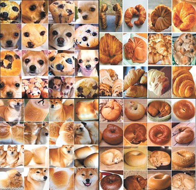 SNS에서 한때 유행했던 숨은 동물 사진 찾기 놀이. 인공지능(AI)은 강아지와 빵 사진을 보고 잘 구별하지 못하는 경우가 있다. 아직은 정보와 지식을 연결하고 유추하는 기능이 부족한 것으로 보인다. 사진 출처 인스타그램