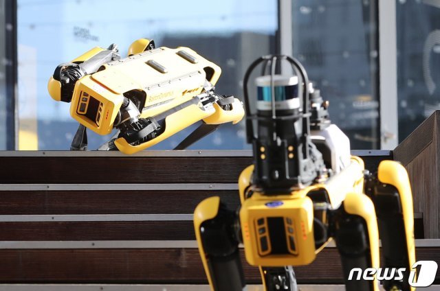 4족 보행 로봇 개 ‘스폿’(spot)/뉴스1 © News1