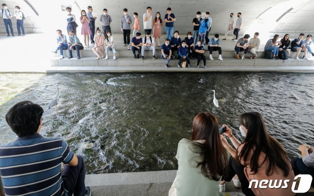 전국 낮기온이 30도 안팎을 웃돌며 한여름 날씨를 보인 9일 서울 중구 청계천을 찾은 직장인들이 그늘에 앉아 왜가리를 보며 휴식을 취하고 있다. 2021.6.9/뉴스1 © News1