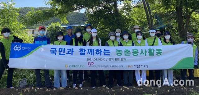 농협중앙회 지역사회공헌부는16일 1365 자원봉사자들과 함께 경기 광명시 관내 감자 재배농가를 찾아 국민과 함께하는 농촌봉사활동을 실시했다.﻿ 농협 제공