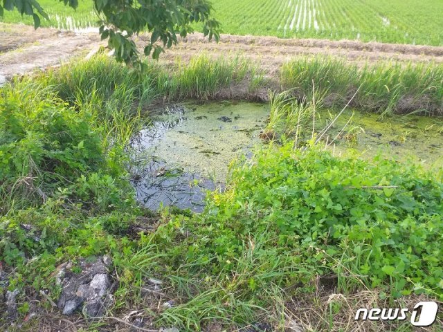 거동이 불편한 고령의 할머니가 전동휠체어를 몰고 가다가 빠진 농수로.(경남소방본부 제공)2021.6.22. © 뉴스1