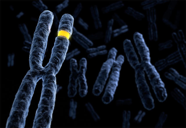 바이러스는 인간 세포에 침투한 뒤 세포의 유전체가 단백질을 만드는 공정을 이용해 자신을 복제한다. 유전체에서 이 흔적을 추적하면 과거에 어떤 감염병이 유행했는지 추정할 수 있다. 미 국립보건원(NIH) 제공
