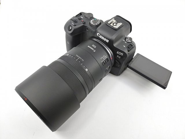 캐논 EOS R6과 RF 100mm F2.8L Macro IS USM (출처 : IT동아)