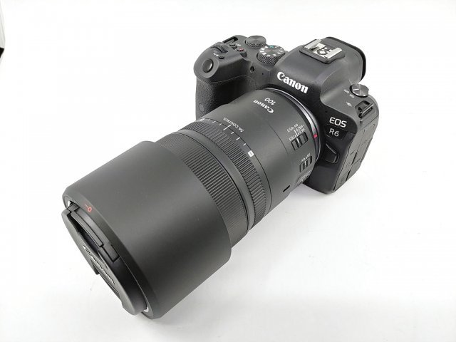 캐논 EOS R6과 RF 100mm F2.8L Macro IS USM (출처 : IT동아)