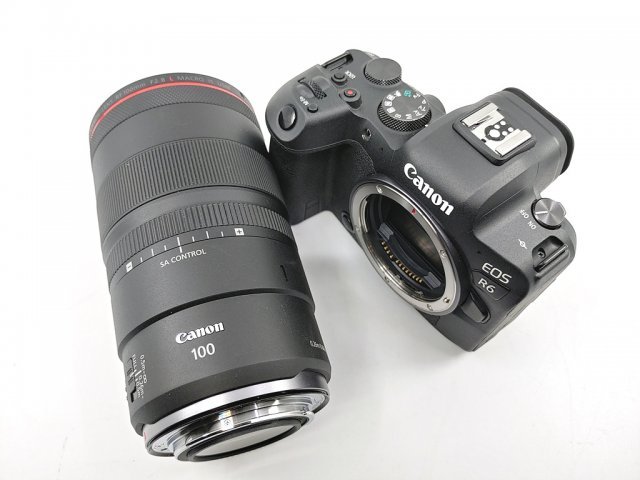 캐논 EOS R6과 RF 100mm F2.8L Macro IS USM (출처 : IT동아)