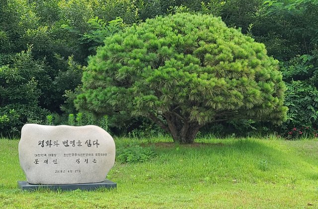 2018년 4.27판문점 선언 당시 남북 정상이 기념으로 식수를 한 장소. 독자 제공.