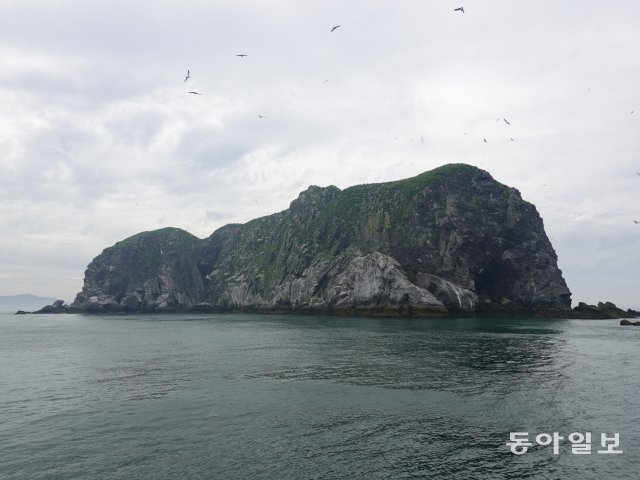 괭이갈매기들의 서식지인 난도.