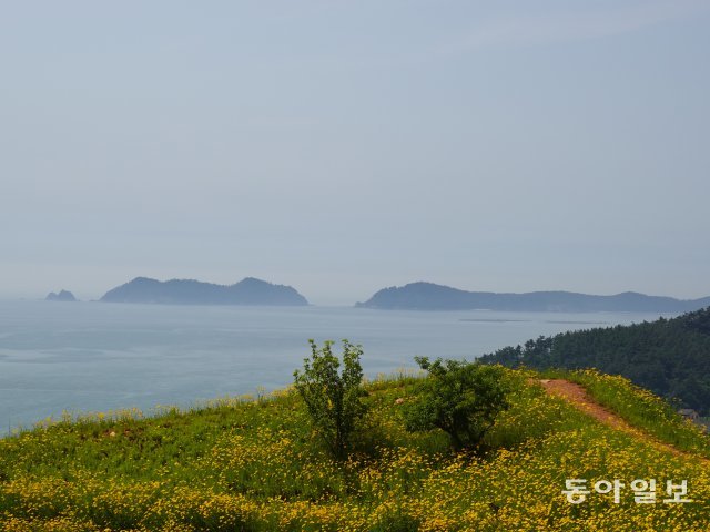 안흥성 정상에 있는 태국사에 내려다본 안흥 앞바다.