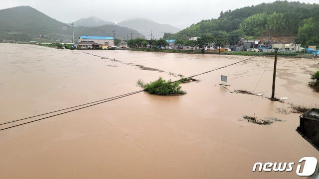 6일 오전 전남 진도군 진도읍 고작마을 일대가 불어난 물에 잠겨 있다. 이날 오전 10시 기준 진도군의 누적 강수량은 217㎜을 기록 중이다.(독자제공) 2021.7.6/뉴스1 © News1