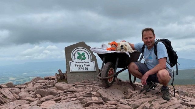 Coventry Dog Walkers 페이스북