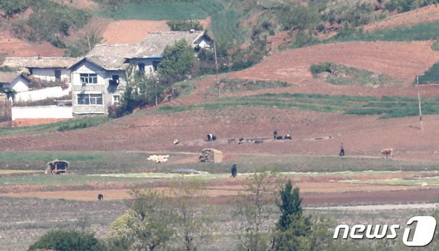 지난 5월2일 기도 파주시 오두산 통일전망대에서 바라본 북한 개풍군 마을. 2021.5.2/뉴스1 © News1