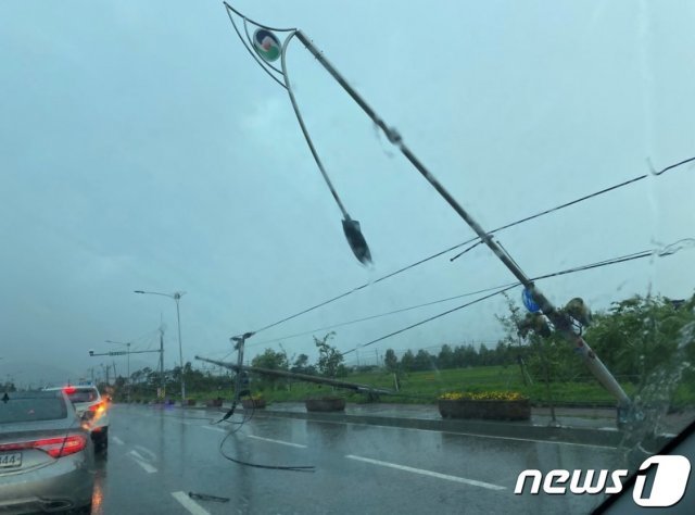 11일 오후 4시 30분쯤 충북 충주시 단월사거리에서 문화동 마이웨딩홀 방향 사과나무 가로수와 전붓대가 쓰러져 충주시가 긴급 조치하고 있다.(독자 제공)2021.7.11/© 뉴스1