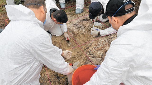 미국 해군범죄수사대(NCIS) 수사원들이 토양 분석을 위해 샘플을 채취하고 있다. 미국 자연자원보호청(NRCS) 제공