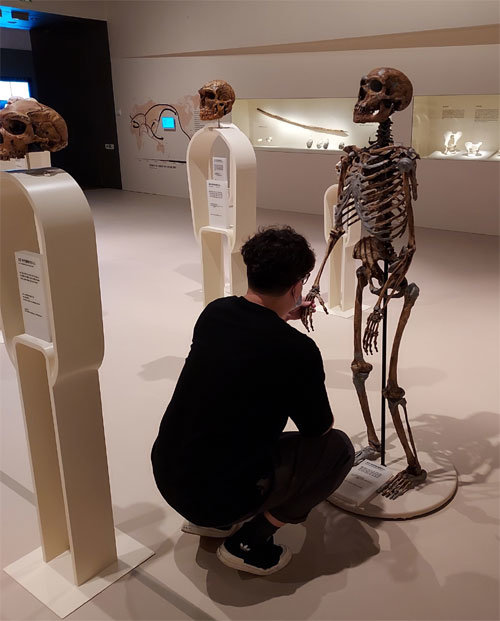 국립중앙박물관의 ‘호모 사피엔스 특별전’에서는 관람객들이 고인골 표본을 만져보며 인류 진화 과정을 살펴볼 수 있다. 서울역사박물관 제공