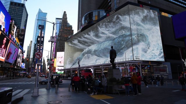 1535 Broadway, New York, NY 10036, United States에 상영 예정인 ‘Whale #2’의 모습.  디스트릭트 제공