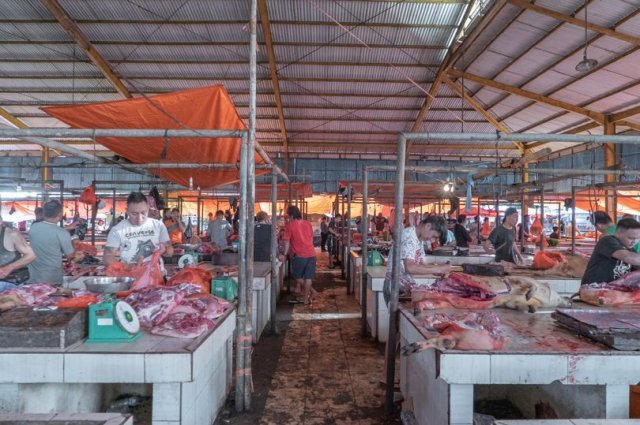 인도네시아 토모혼에 위치한 ‘베리만 시장’. 국제 동물복지단체 ‘포포스(Four Paws)’