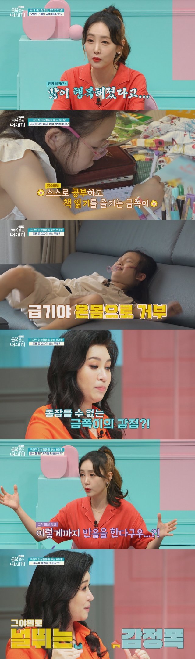 채널A ‘요즘 육아 - 금쪽같은 내새끼’