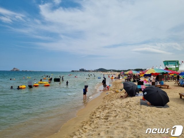 6일 오전 삼포해수욕장. 평일 낮 시간대임에도 물놀이를 즐기는 피서객들로 가득하다.2021.8.6 /뉴스1