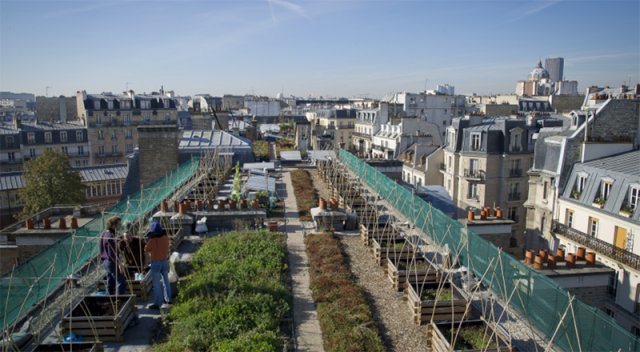 목표 100 헥타르 프로젝트의 일환으로 진행되고 있는 도시농업, 파리퀼퇴르(Parisculteurs) 사업. 출처=프랑스농림축산식품부