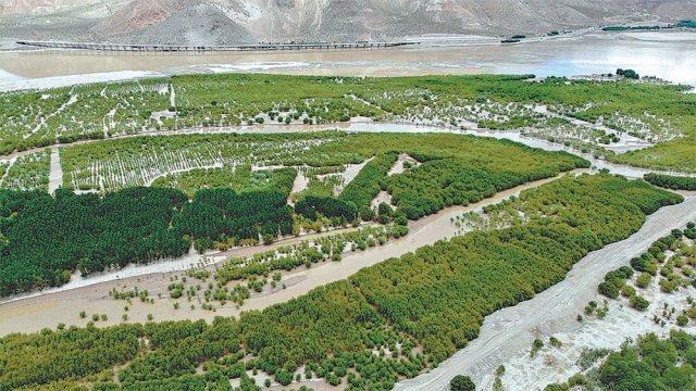 2020년 6월 27일 중국 시짱자치구 산난시 야루짱부강을 따라 조성된 녹지대의 항공사진.
