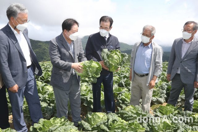 이성희 농협중앙회장(가운데)이 20일 강원도 강릉시 왕산면 고랭지배추 포전을 찾아 작황현황과 수급상황을 점검하고 있다. 사진 왼쪽부터 농협경제지주 하명곤 판매유통본부장, 강릉농협 최장길 조합장, 농협중앙회 이성희 회장, 강원도 무배추 공동출하협의회 김시갑 회장, 강릉원예농협 박만수 조합장