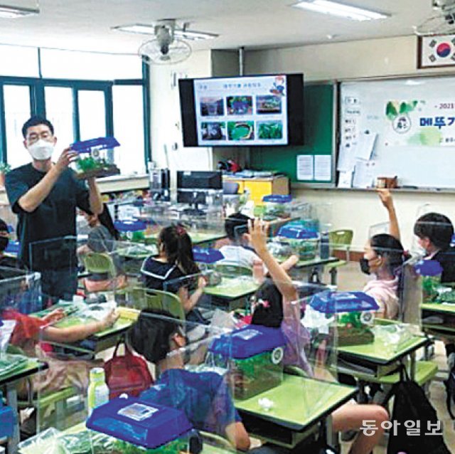 지역 초등학교에서 메뚜기 사육 체험학습을 진행하는 복씨. 광주=정미경 기자 mickey@donga.com