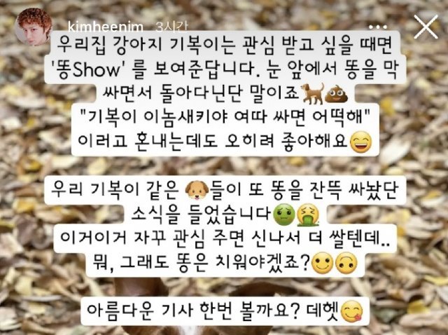 김희철 인스타그램 스토리 화면