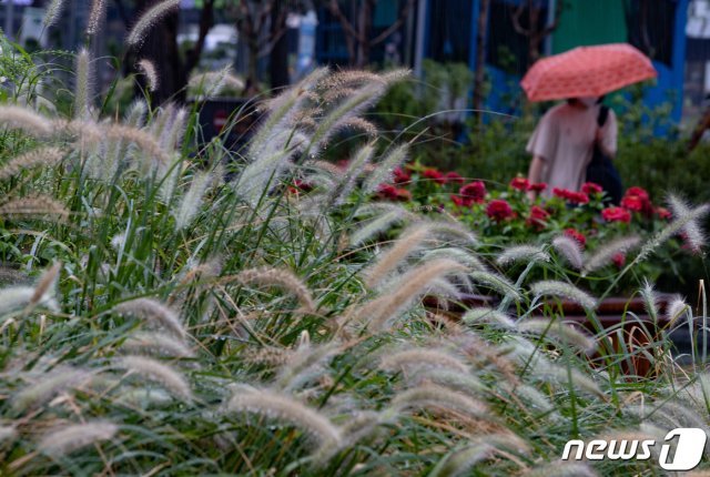 수도권 중심으로 비가 내리는 31일 오후 서울 중구 청계광장에서 우산을 쓴 시민들이 발걸음을 재촉하고 있다. 2021.8.31/뉴스1 © News1