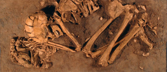 여성과 개가 함께 묻혀 있는 모습으로 발견된 이스라엘의 1만3000년 전 무덤. 사진 출처 위키피디아