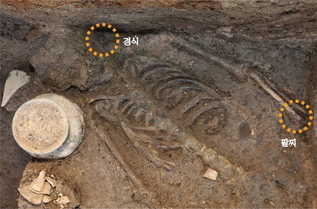 월성 서성벽에서 4년 만에 추가로 발견한 여성 인골 1구. 문화재청 제공
