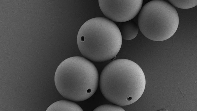미국 연구팀이 지름 수 μm 크기의 동그란 몸집에 작은 구멍을 통해 물질을 먹어 치우는 ‘세포 모방체’ 캡슐을 개발했다. 물속 오염물질을 삼키거나 몸속 대장균을 잡아먹는 데 활용할 수 있을 것으로 기대된다. 사진 출처 미국 시카고대