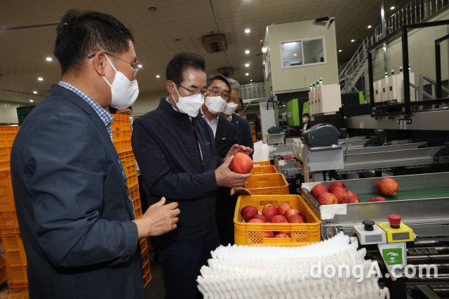 이성희 농협중앙회장(왼쪽 2번째)이 10일 추석 성수품목 사과·배 주산지인 충북원예농협을 찾아 수급상황을 점검하고 있다.