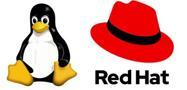 리눅스(왼쪽)와 레드햇(오른쪽)의 로고 (출처=각사)