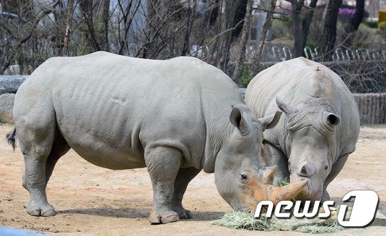 /뉴스1 자료사진 © News1