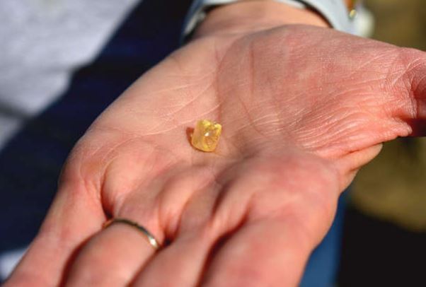 미국에서 한 여성이 남편과 함께 공원을 찾았다가 4.38캐럿 금빛 다이아몬드를 발견했다. (아칸소주 주립공원) © 뉴스1
