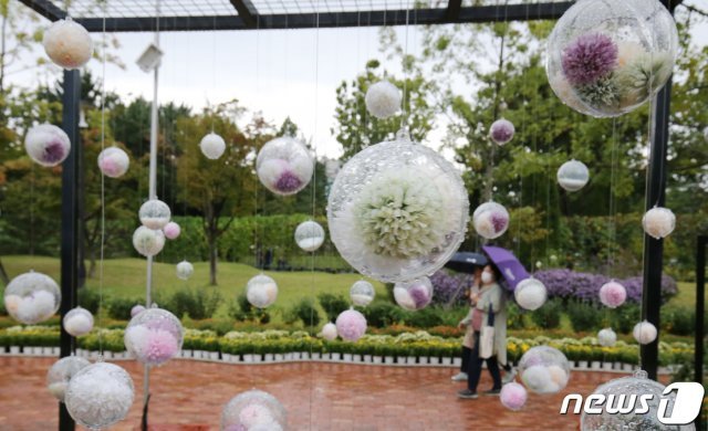 대전을 비롯한 중부지방에 비가 내린 7일 오후 대전 유성구 유림공원에 조성된 국화전시회에서 시민들이 우산을 쓰고 관람하고 있다. 2021.10.7/뉴스1 © News1