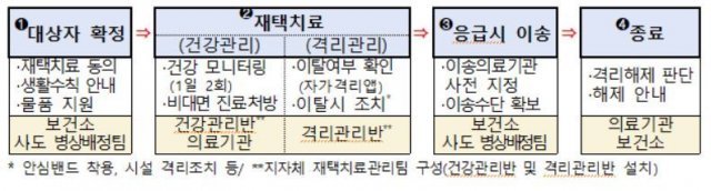 재택치료 절차(보건복지부 제공)ⓒ 뉴스1