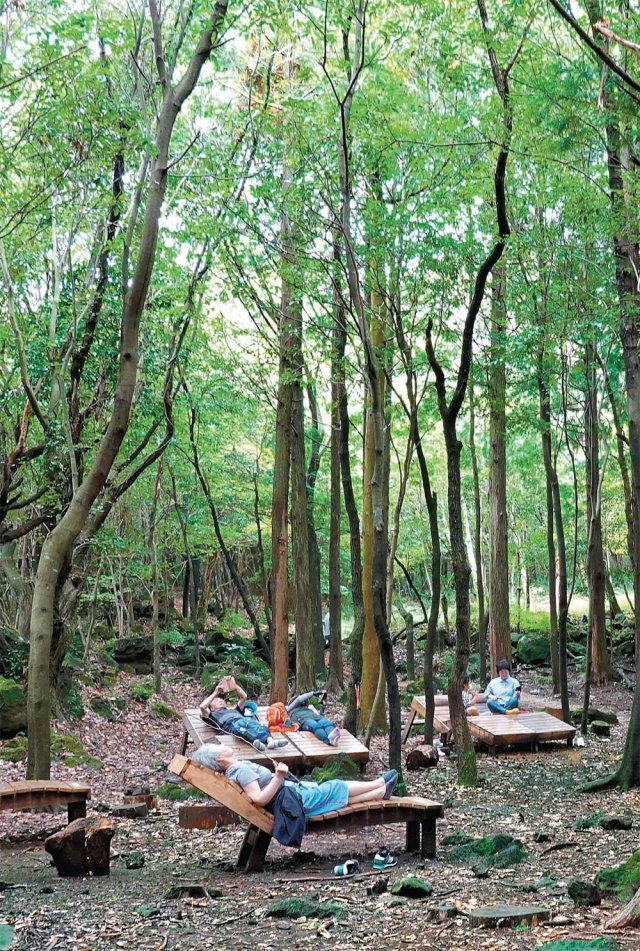 제주 서귀포시 치유의 숲길 쉼팡(쉬는 곳)에서 한적하고도 느긋한 분위기를 즐기는 관광객들.