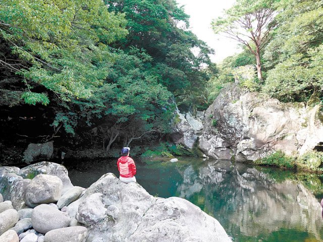 서귀포시 하례리에 있는 고살리숲길 속괴(연못). 폭포절벽과 바위 위의 적송이 한 폭의 동양화를 연상시킨다.