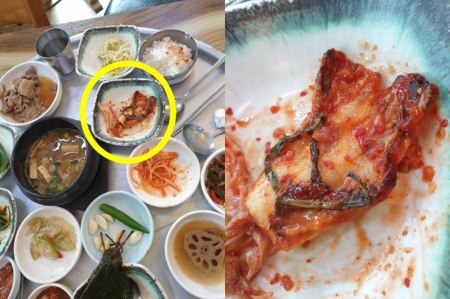 부산의 한 갈빗집에서 생김치 사이에 구운 김치가 나와 논란이다. (온라인 커뮤니티 갈무리) © 뉴스1