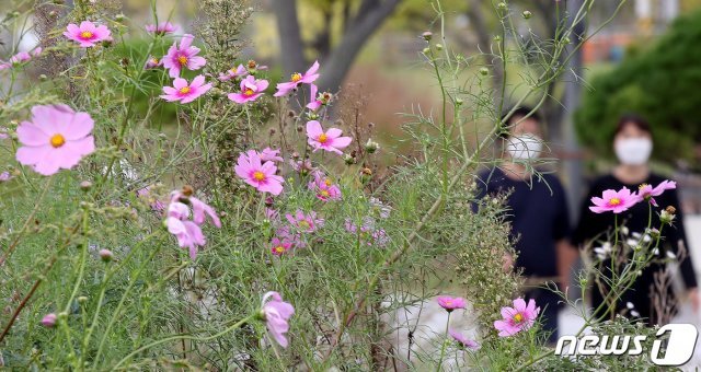 한글날 연휴 마지막날인 11일 오후 서울 강서구 서울식물원을 찾은 시민들이 선선해진 가을 날씨를 만끽하고 있다. 2021.10.11/뉴스1 © News1