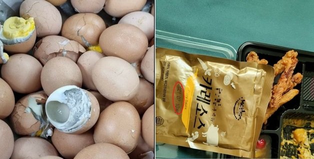 유통기한 지난 카레·썩은 계란' 軍급식 또 논란…“전량 폐기”｜동아일보