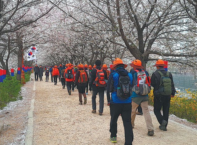 2016년 봄 ‘제4기 100인 원정대’에 참여한 시민들이 벚꽃이 흐드러진 서울둘레길을 함께 걷고 있다. 서울시 100인 원정대는
 매주 토요일에 숲 해설을 들으며 시민들과 함께 156.5km 서울둘레길을 걸어 완주하는 프로그램이다. 서울시 제공