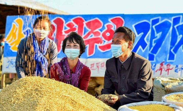 북한 노동당 기관지 노동신문은 25일 “전국 각지에서 낟알털기 실적이 시간을 다투며 오른다“면서 각지 농업 상황을 전했다. 신문은 ”농업근로자들이 충천한 기세로 볏단 운반과 낟알털기에 헌신의 구슬땀을 바치고 있다“라고 소개했다. 사진은 대안구역 대정협동농장. (평양 노동신문=뉴스1)