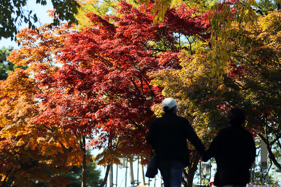 가을이 무르익고 있는 27일 오후 서울 남산공원에서 시민들이 산책을 즐기고 있다. 2021.10.27/뉴스1 © News1