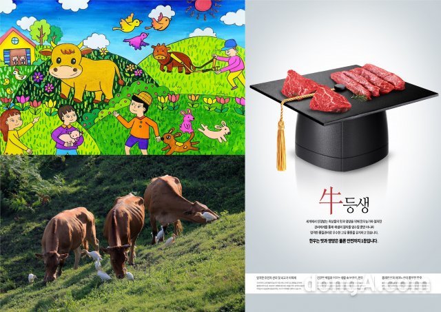 공모전 사진, 그림, 광고디자인 대상작