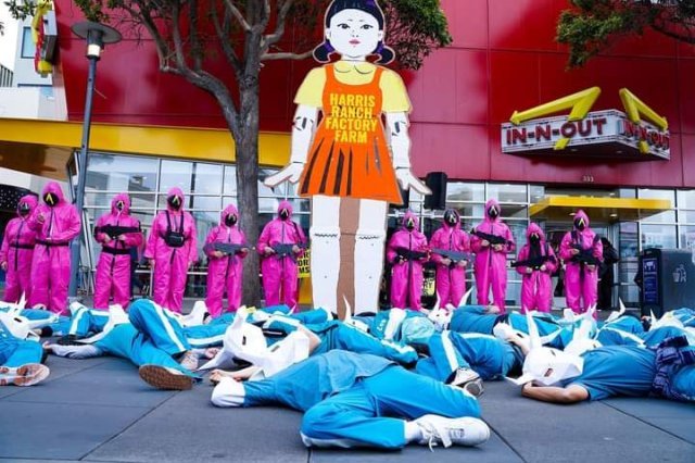 ‘오징어 게임’ 속 놀이 모방한 항의 시위. 동물권 단체 ‘디렉트 액션 에브리웨어’ 트위터