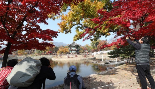 5일 서울 종로구 경복궁 내 향원정이 3년만에 복원을 완료하고 공개됐다. 단풍나무 아래서 시민들이 사진을 찍고있다.
