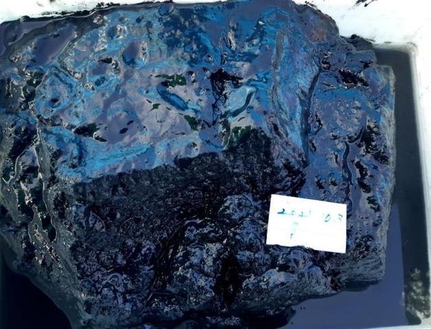 채니기(물 밑의 진흙·모래 등과 같은 침전물을 채집하는 기구)를 이용해 확인된 새만금호 퇴적층.© 뉴스1